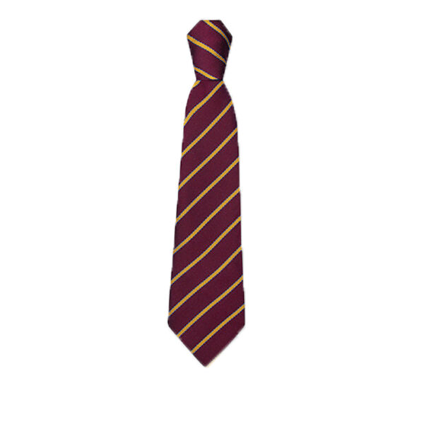 Malvern Vale School Tie Thumbnail
